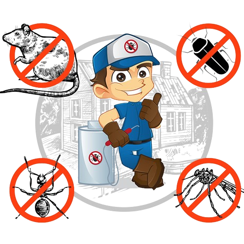 Pest Control Service Steps