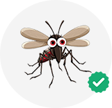Mosquito Control